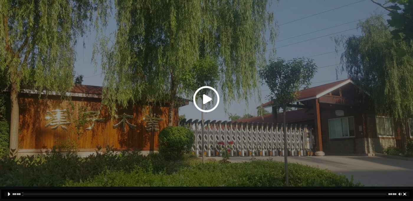 半岛平台-半岛(中国)一站式数字化共享平台